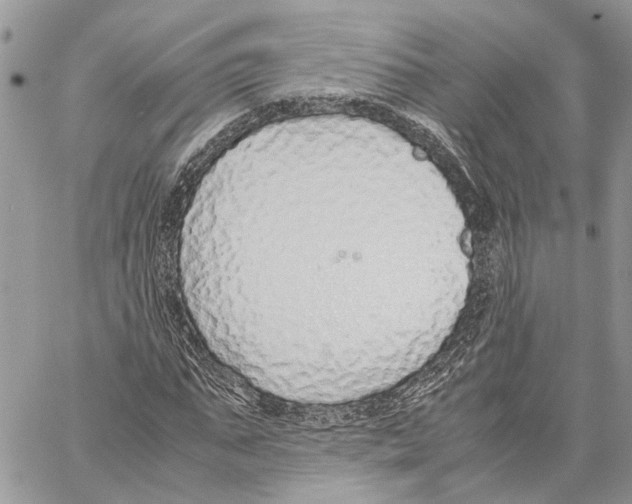 X0000059830871200511181445