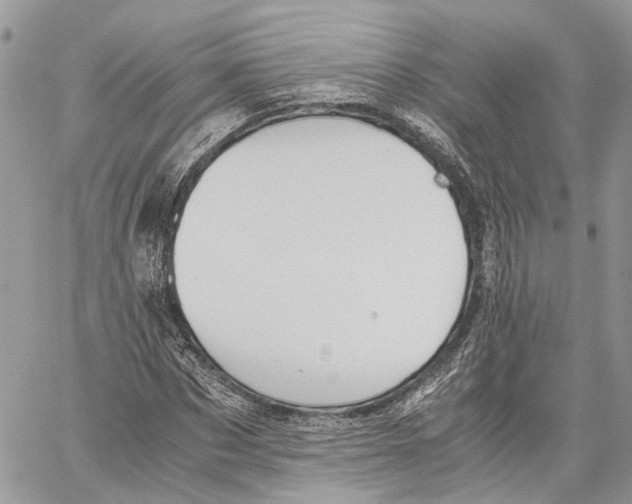 X0000059830873200511181445