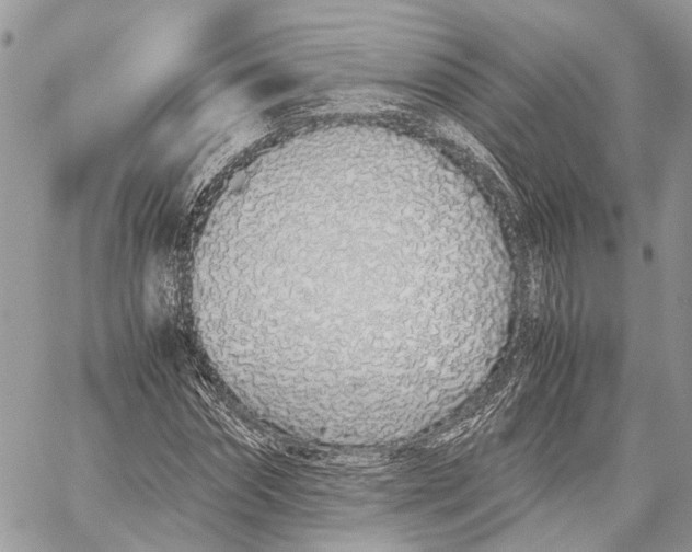X0000059830874200511181445