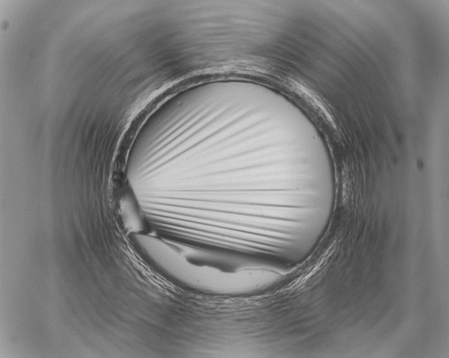 X0000059830876200511181445