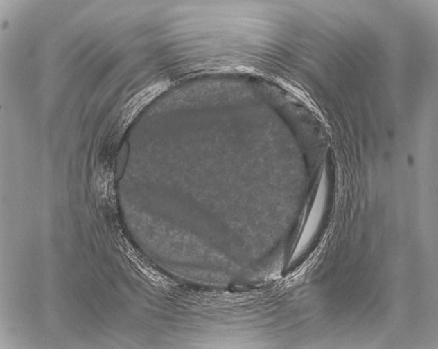 X0000059830881200511181445