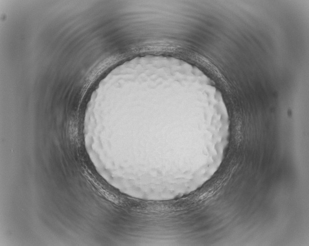 X0000059830882200511181445