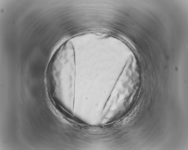 X0000059830907200511181445