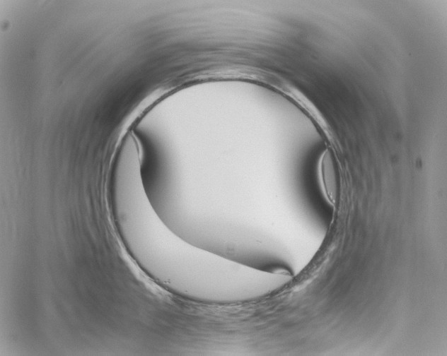 X0000059830909200511181444
