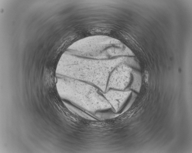 X0000059830915200511181444
