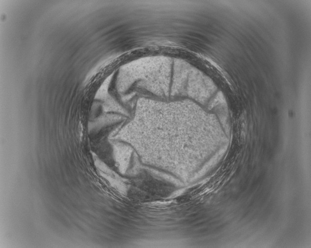 X0000059830919200511181444