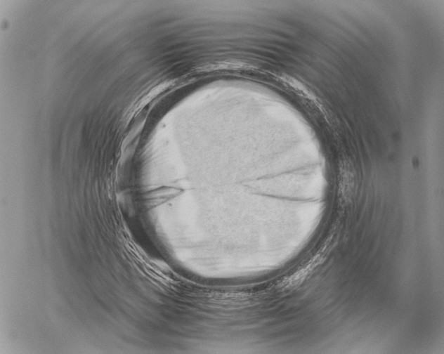 X0000059830921200511181444