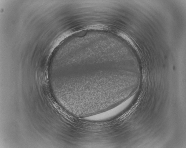 X0000059830923200511181444