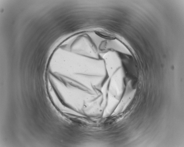 X0000059830959200511181444