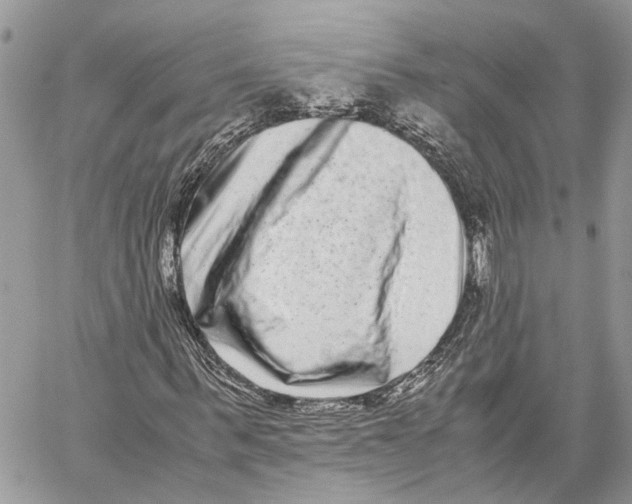 X0000059830963200511181444