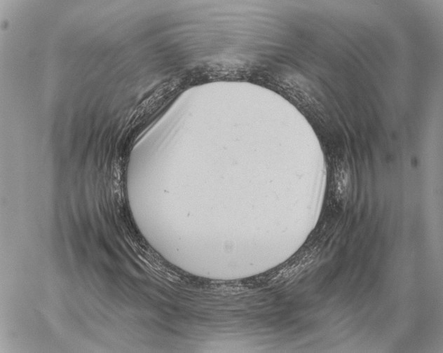 X0000059830964200511181444