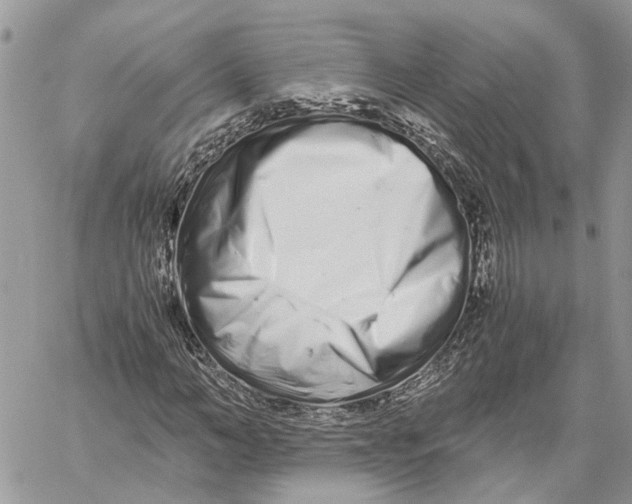 X0000059830966200511181444