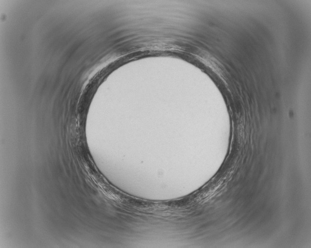 X0000059830971200511181443