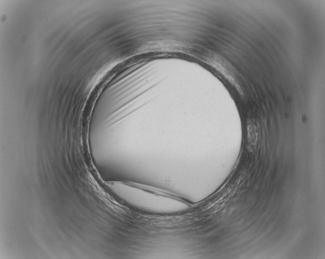 X0000059830972200511181443