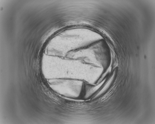 X0000059830975200511181443