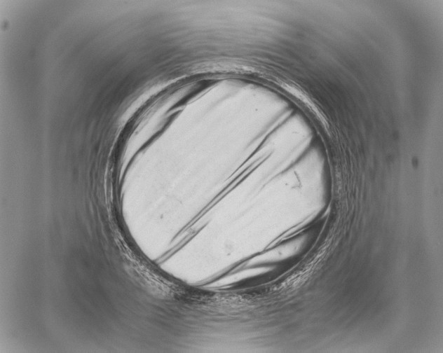 X0000059830983200511181443