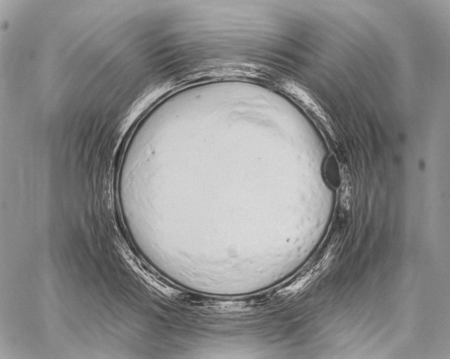 X0000059830986200511181443