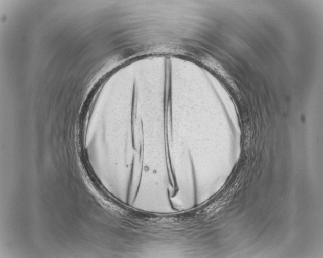 X0000059830991200511181443