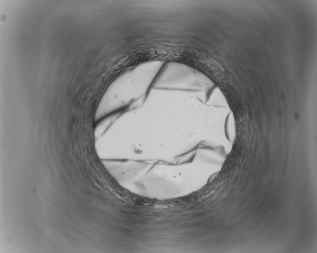 X0000059831009200511181442