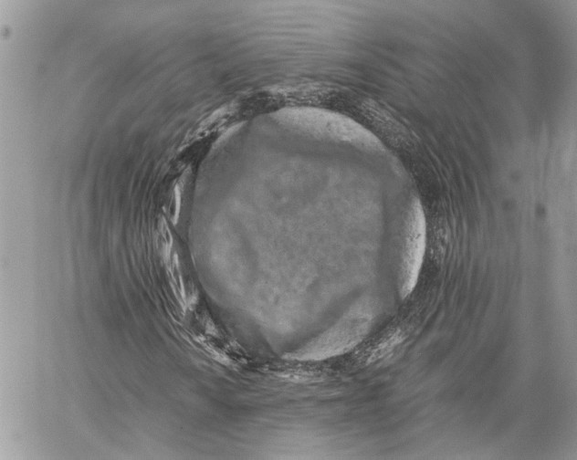 X0000059831010200511181442