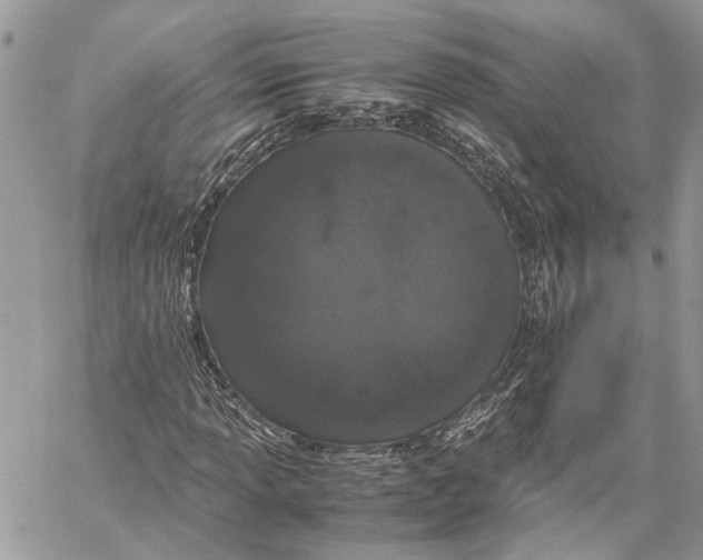 X0000059831013200511181442