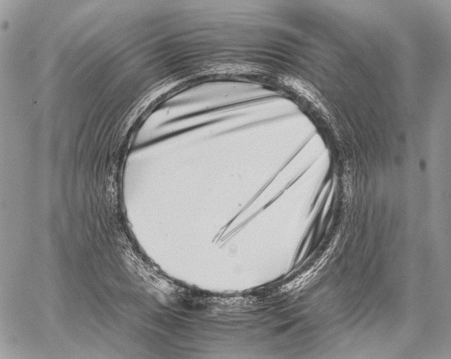 X0000059831025200511181442