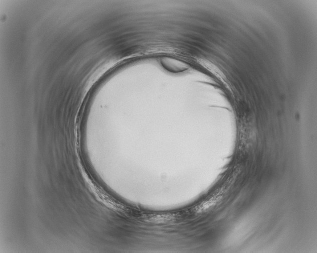 X0000059831047200511181443