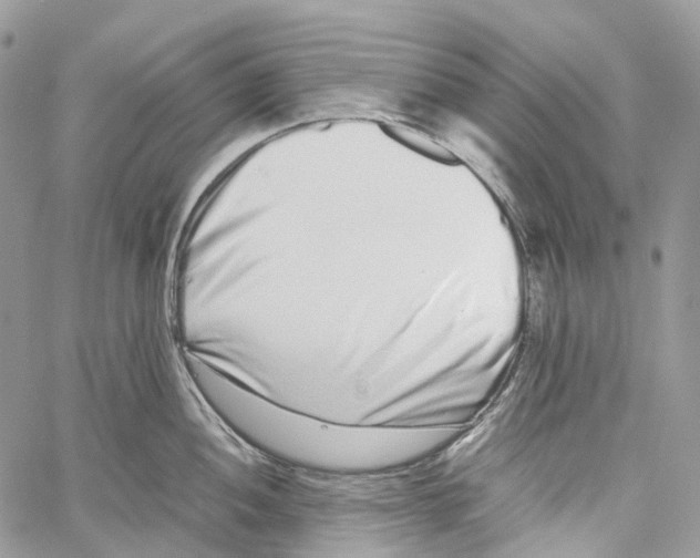X0000059831052200511181443