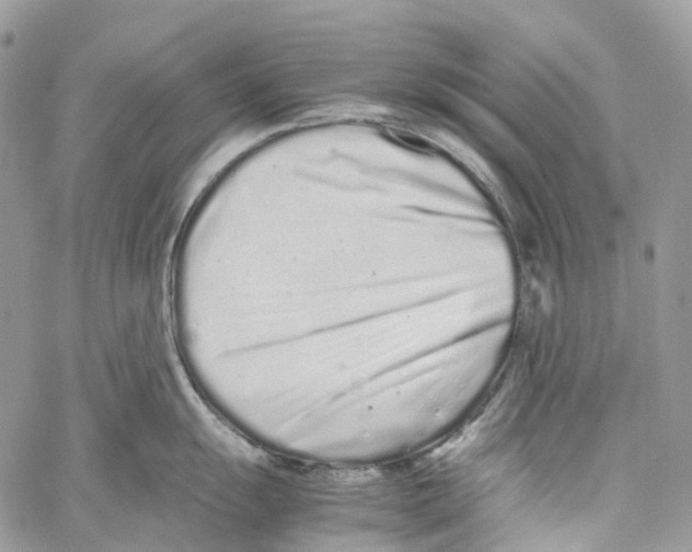 X0000059831055200511181443