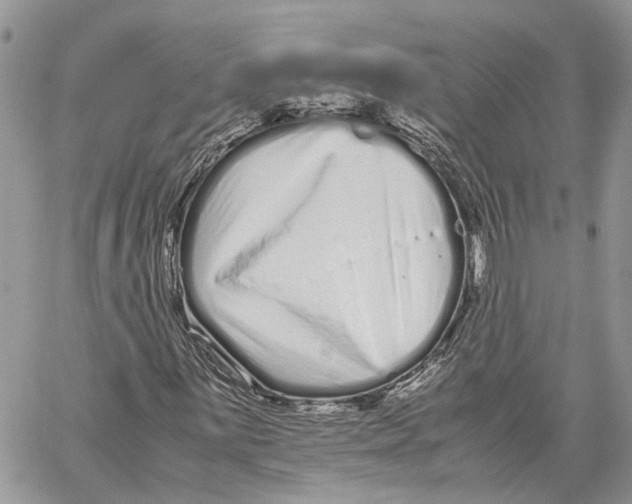 X0000059831059200511181442