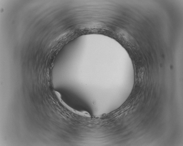 X0000059831062200511181442