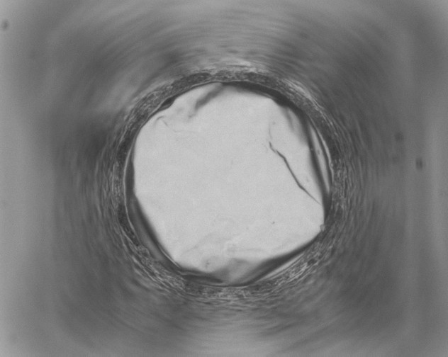 X0000059831063200511181442