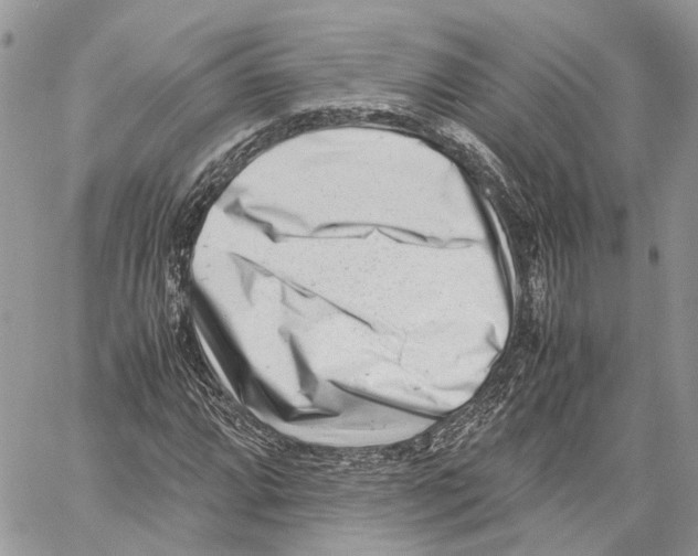 X0000059831064200511181442
