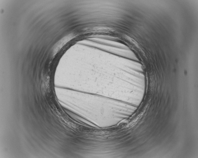X0000059831066200511181442
