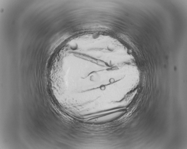 X0000059831071200511181442