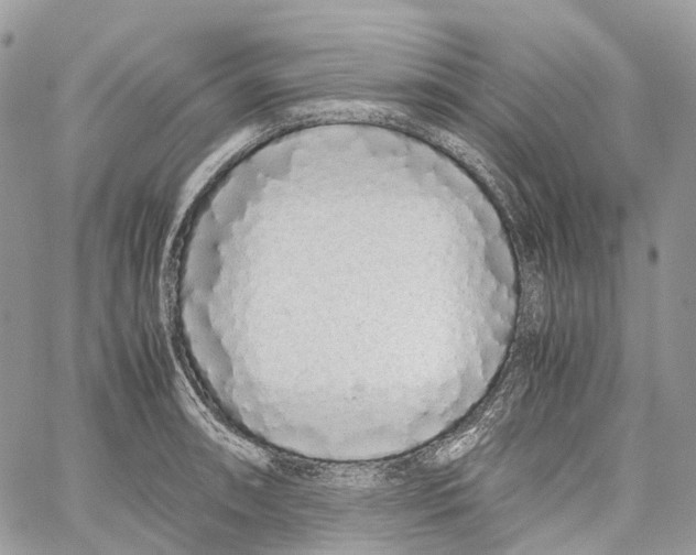 X0000059831090200511181442