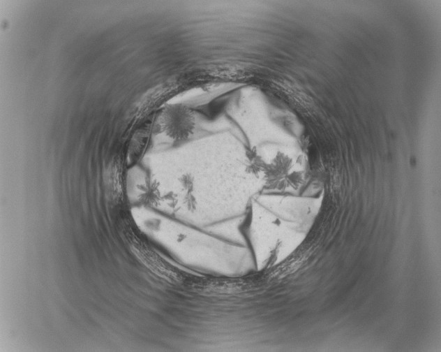 X0000059831106200511181441