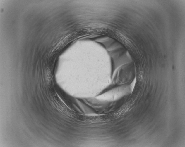 X0000059831108200511181441