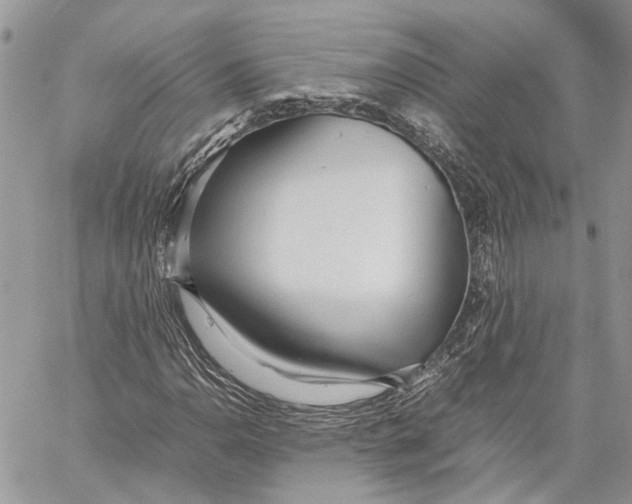 X0000059831110200511181441
