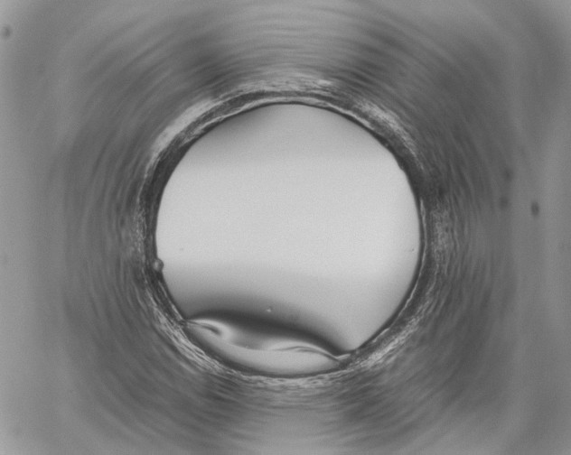 X0000059831114200511181441