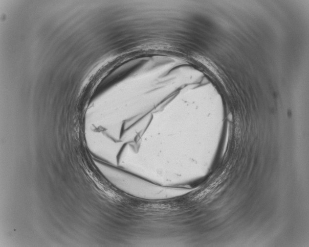 X0000059831115200511181441