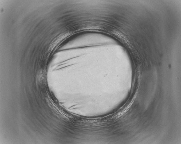 X0000059831121200511181441
