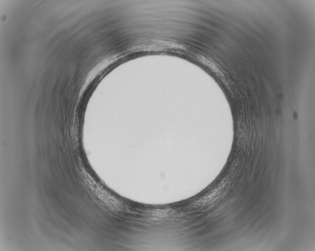 X0000059831122200511181441