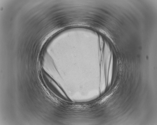 X0000059831125200511181441