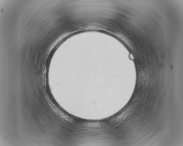X0000059831126200511181441