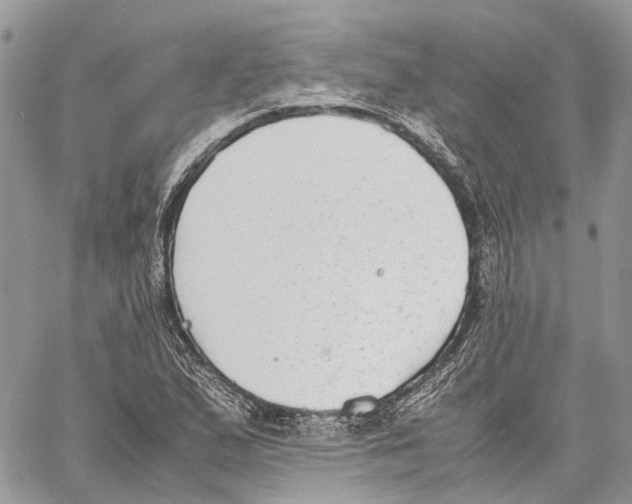 X0000059831167200511181440