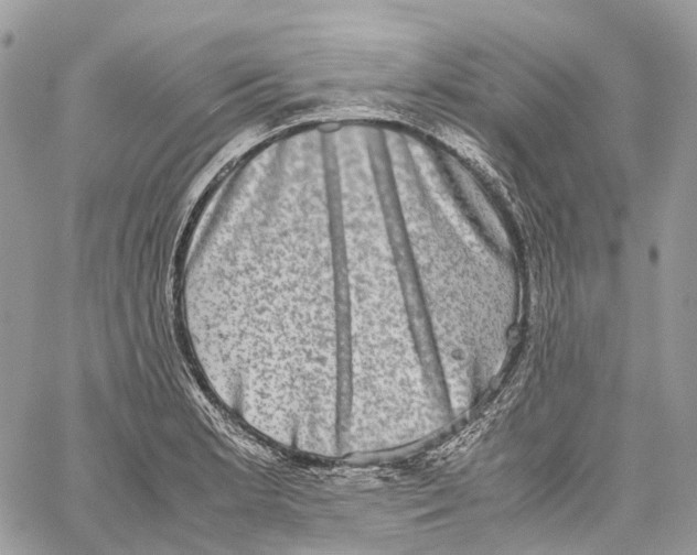 X0000059831181200511181440