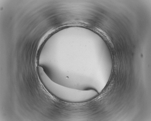 X0000059831188200511181440