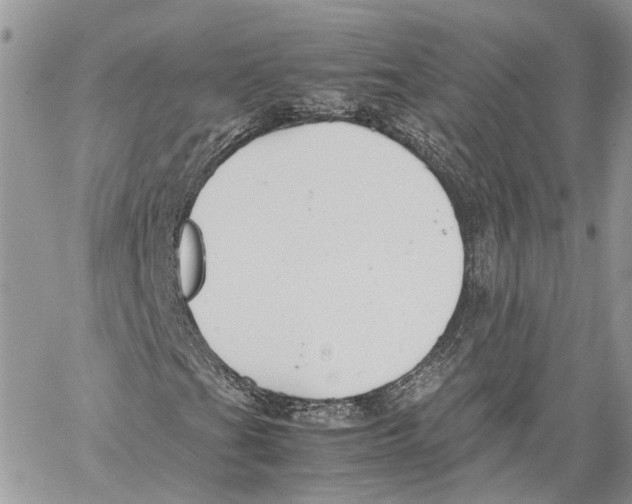 X0000059831201200511181439
