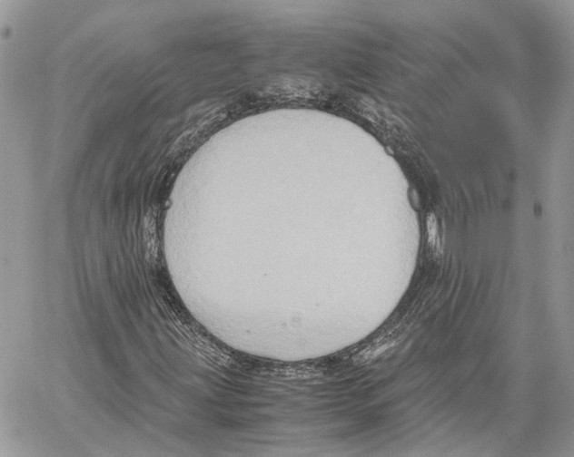 X0000059831203200511181439